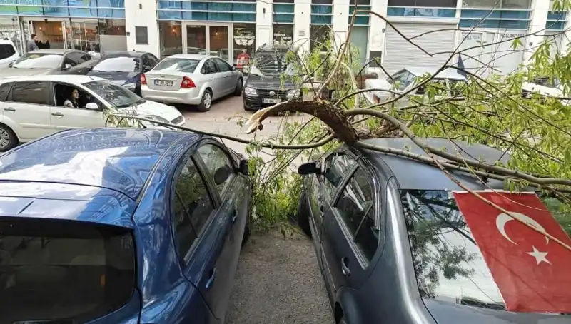 Kayseri'de Fırtına Ağaçları Kırdı, Hayat Durma Noktasına Geldi!