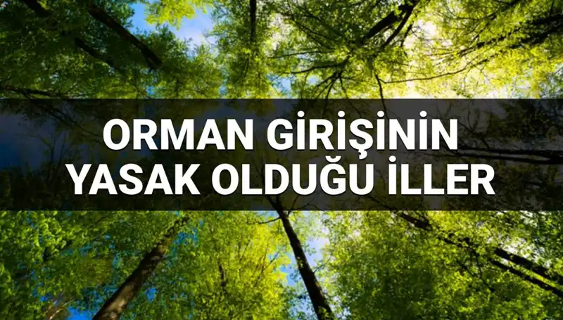 2025'te Hangi İllerde Ormana Giriş Yasaklanacak? Sıra Dışı Gelişmeler!