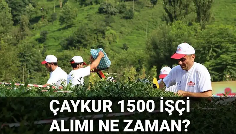 Çaykur İşçi Alımı İçin Başvuru Tarihleri Açıklandı: İşte Detaylar!