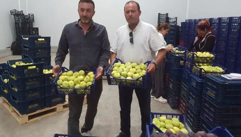 Mersinli Çiftçilerin Yüzü Güldü: İhracat Fırsatlarıyla Para Kazanıyorlar