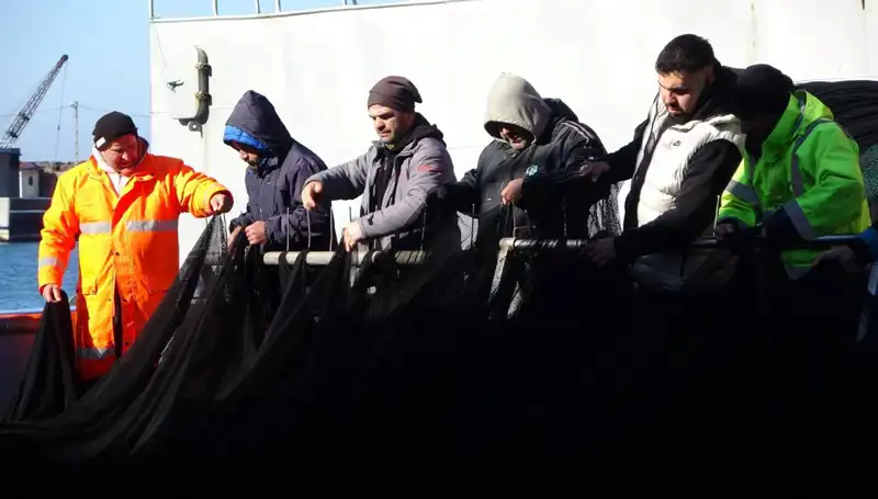 Denizlerde Hamsi Avında Son: Tekneler Neden Erken Paydos Etti?