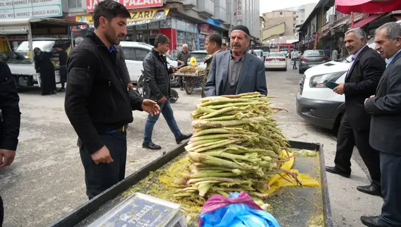 Dağlık Alandan Toplanan Şekerin Sağlığa Faydaları ve Gizemleri