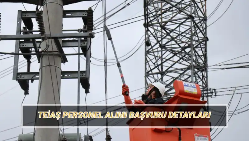 TEİAŞ Personel Alımı İçin Başvurular Başladı! İşte Detaylar