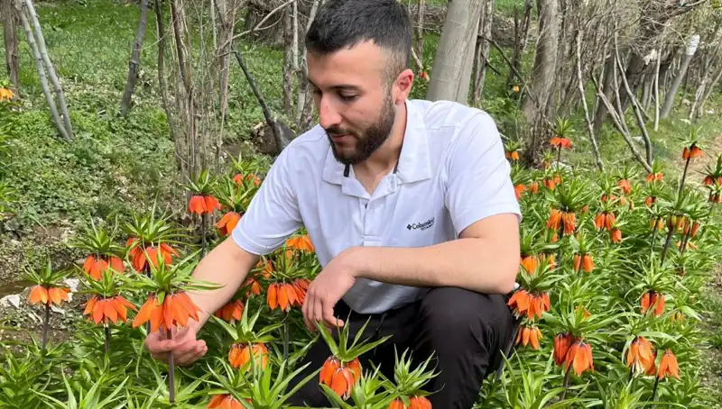 "Ağlayan Gelin: Doğanın Göz Yaşları ve Yüzbinlerce Liralık Ceza"