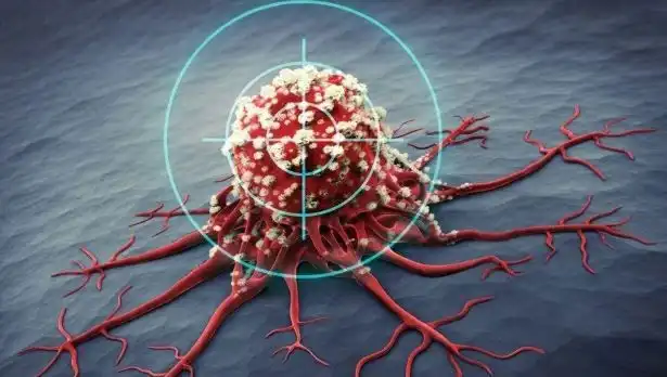 Prostat Kanseriyle Mücadelede Etkili 6 Besin: Sağlığınızı Koruyun