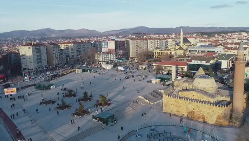 Kırşehir'de Keşfedilen Yeni Böcek Türü Bilim Dünyasını Heyecanlandırdı