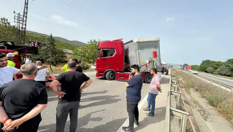 Seyir Halindeyken Arı Sokması: Trafikte Şok Edici Anlar!