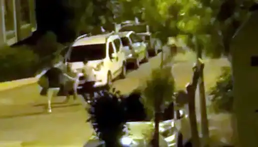 Avcılar'da Üç Kişinin Saldırısına Uğrayan Vatandaşın Dramı: Kahramanlar Kurtardı!