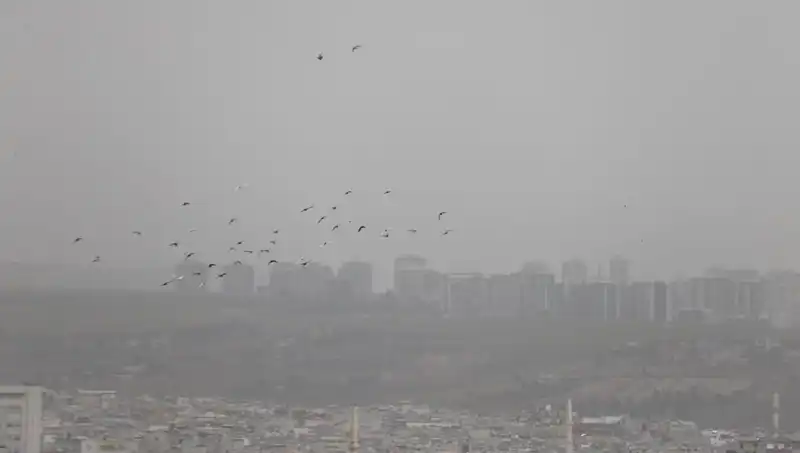 Şanlıurfa'da Görülmemiş Toz Bulutu Şehri Kapsadı: Nedenleri ve Sonuçları