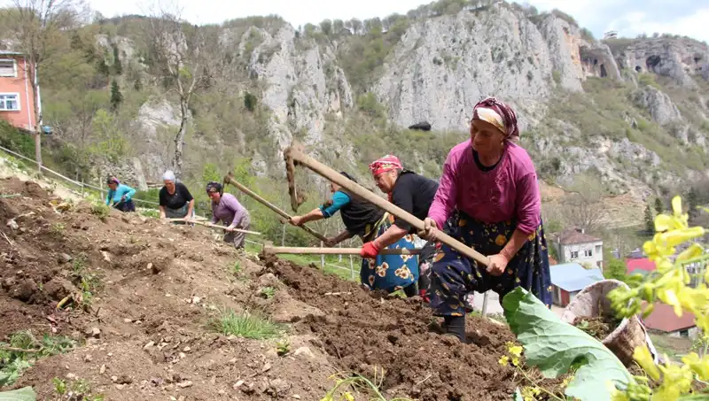 Zorlu Mesai Başladı: Alanda Çalışanların Yeni Ürünlerle Mücadelesi