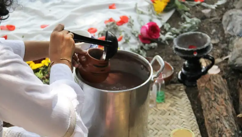 Ayahuasca: Gizemli İyileştirici Çay ve Yasal Durumu Hakkında Bilinmeyenler