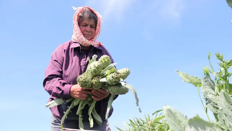 Tarladan Sofralara: Hangi Ürünler 50 TL'ye Satılıyor?