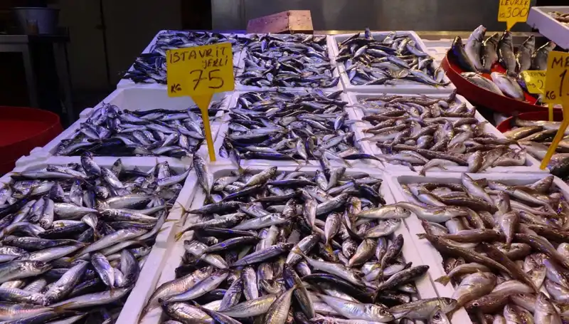 Balık Sezonu Kapanırken, Tutku ve Gelenekler Değişiyor
