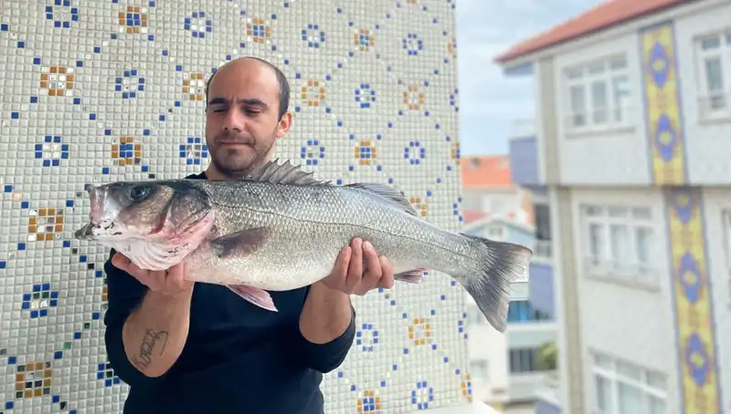7,5 Kiloluk Dev Levrek: Balık Avında Eşsiz Bir Başarı Hikayesi
