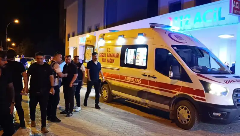 Kardeşini Koruma Çabası Feci Sonuçlandı: Kavganın Ardındaki Trajik Hikaye
