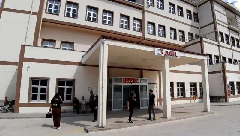 Bolu'da Tartışmalı Ayı Avı Kararı: Çevreciler ve Avcılar Arasında Gerginlik