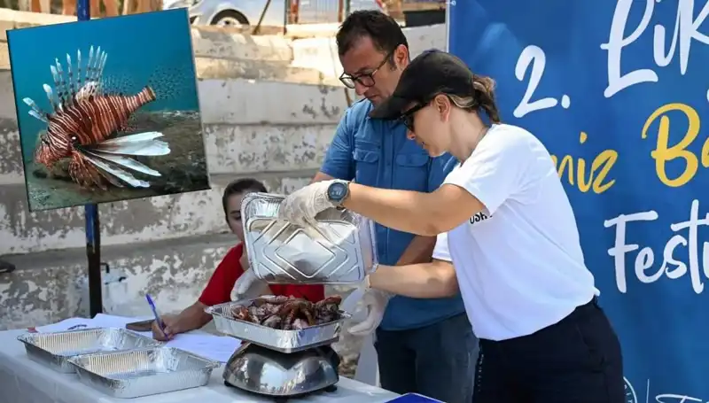 Antalya'da İstilacı Aslan Balığı Avlama Yarışması: Doğayı Kurtarmak İçin Bir Adım