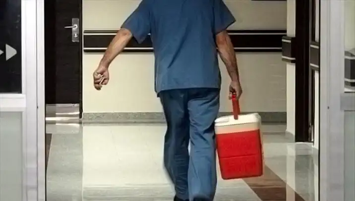Organ Bağışında Dijital Dönüşüm: e-Devlet ve e-Nabız ile Kolaylık