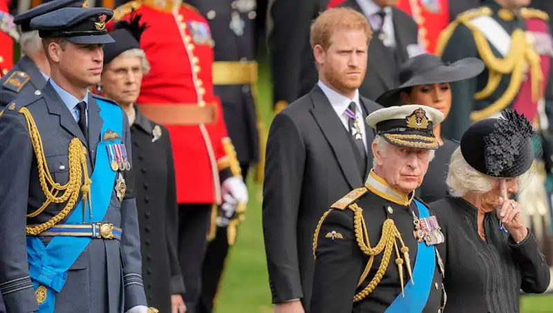 Kral Charles ve Prens Harry: Duygusal Çağrışımın Ardındaki Gerçekler