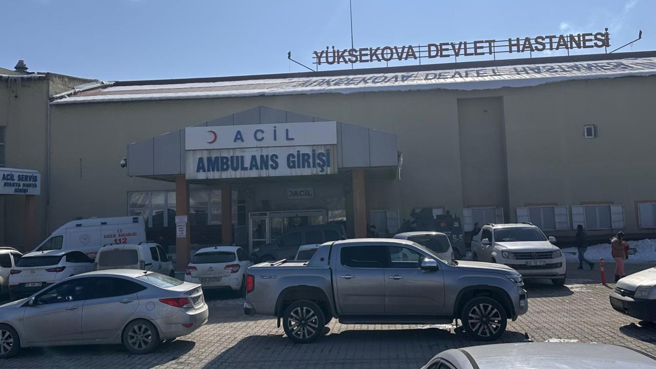 Başıboş Köpeklerin Saldırısıyla Ölen Çocuğun Olayı