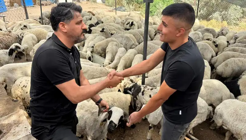 Kurbanlık Hayvan Alırken Tuz ve Sumak Kullanımına Dikkat!