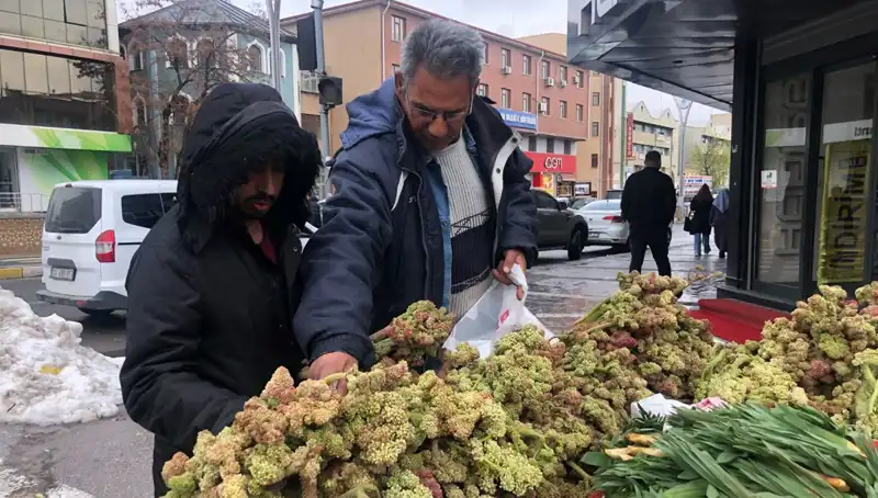 Kendiliğinden Yetişen Sıhhat Mucizesi: Kanserle Mücadelede Yeni Bir Umut