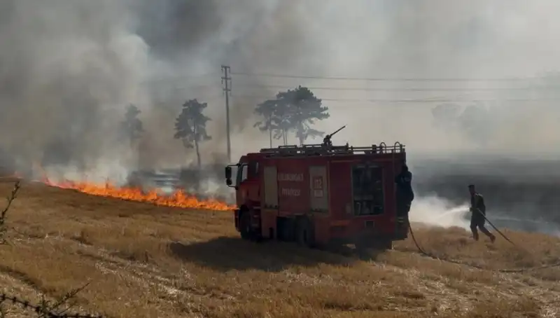 Kırklareli’nde Anız Yangını: Doğa ve Genel Güvenlik Tehlikede!